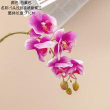 a43067d6e05e1b9fdc0c1d3c3178bf55