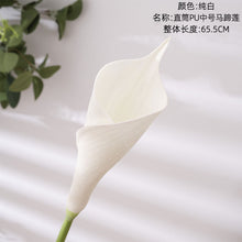 a6ea7230c88c1e8c8c85100e669ccd74