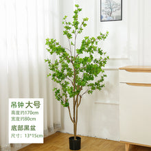 25bf76be7ae82df516101a17a4ff8e85