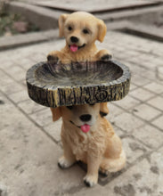 60b44f61b8c04de4bdf6537196819d5d