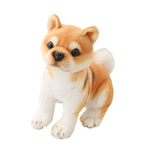 0a347ac56ef452a0bd2e0cb3ab4dd518