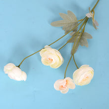 dfdecd7a7f44dca6514808c0ccc2d8f6