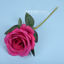 bc760390a37968eafbcc4aa411bed35f