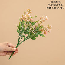 2df1403e177bb9b3878d0edd5a6c36b5