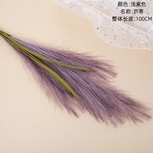 1b83e53e593a22a81e0fdeb894c5dea2