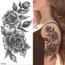 36a7dedc4a7a32c6b70f884af0a36aa2