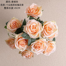 52086e4e103796e61200035fa7a79afe