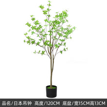 2b3fc9056441cdffe9a213f1846c2023