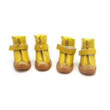 81f51ddd5755933acd63a9dbed6b049a