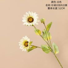 239edbe3da2ffa5b1472f47705540161