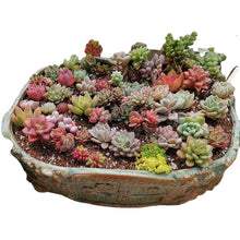 88b1bb679b0e97d54e253ba43eeba724