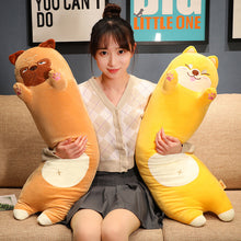 56cecc6ab64a448aa708a30808ed05a7