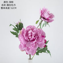 9920400f38250302e284daf2c4d63901