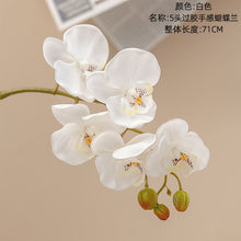e3332407b6bc9cd54b1a7fbed3b54643