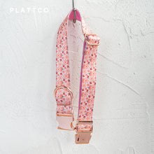 7101608c59f6cd79bf1c0f79717890c7