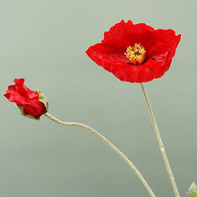 0475996c4db328c8ebde5f9fc5b61cd0