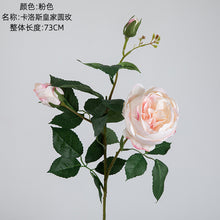 1e33ec1be6ad779708b2ed1a948b1845