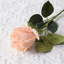 2bb2e4ef3e4ce1503f822c57dfa6ab0b