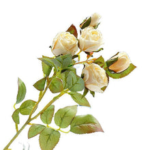 f90f0d217bfbf0bc02c1e686960924c7