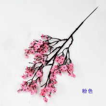479d80faa2df1d7516a5fb1e6644b271