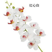 c3562f65b0292ab725f5299d92af7c1a