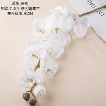 c1b24b2cf19a97920be55ae86fdc3e65