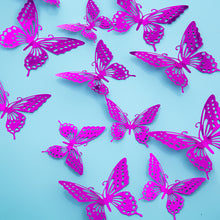 e8d6daa60404fbb53e2ddf200c4c5f84