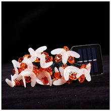 4457aacaa2c840792905d3da867d1f1f