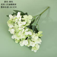 a851da24c2ff4de8d8396335b0e817ee