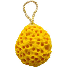 b2ccaac6ed206c27fbae581c88636824