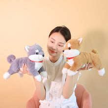 efd41bc5eed4b988831b10230ec01f5b