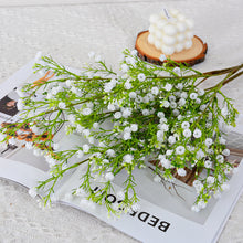 b8c2493edafcc95b1fc66203a12de932