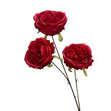 fb34acf37dddce88bb074cc7eee745c5