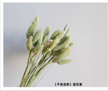 5e596615a17a2dcd0e7203b19bb2799f