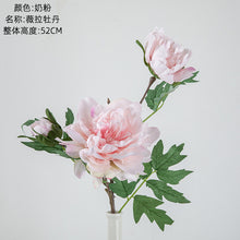 db00b506212c5bd0bd23c380ba18dba1