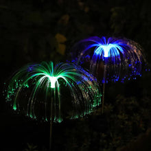 f7d33342faeceac1923d186a9b01bcba