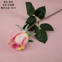24e69f4e0723c86cfb6ae9a1d2457e83