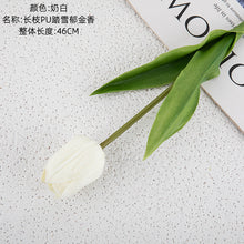 e9eb47c0b06bcd980f45281a47187d6c