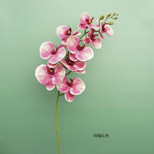 fdaf6c196e9e0c908fb02561d33dba46