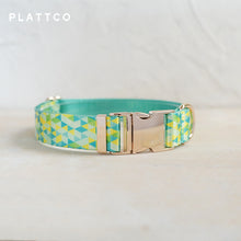 ece533cd557ce80ad10f91d1128a68ea