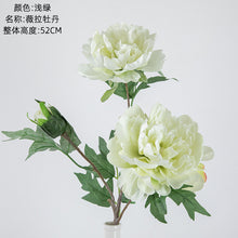7d99dfd590ec7bb1a4e19cd6b406a7e5