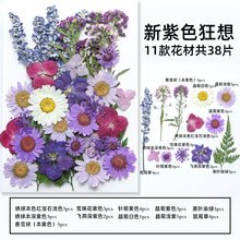 3f4104ff51e12020efa325176489e446