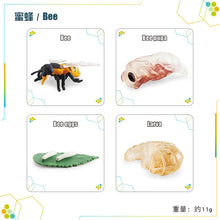 2d20cb1a122730bdb844545e3f2c435b