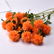f884a3fd2df329261d07fee832e072dd