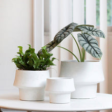 d89801b49bf7df3437a087c8380c2eb9