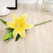 b48922c0b06a152ec4ff3aeb3290a10a