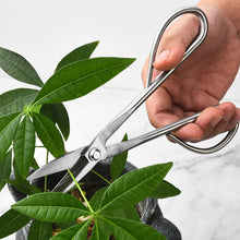 8bbbe3a1b2a371ef92fd3d0895f391cc