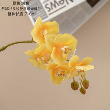 fd4450aa68248f1aa3a51b1abafbf913