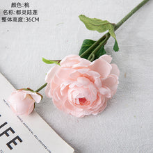 88a69018a2ce99ad0f2a8bbcea816410