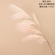 057bc4eda7486389dc0fcc9b842823b8